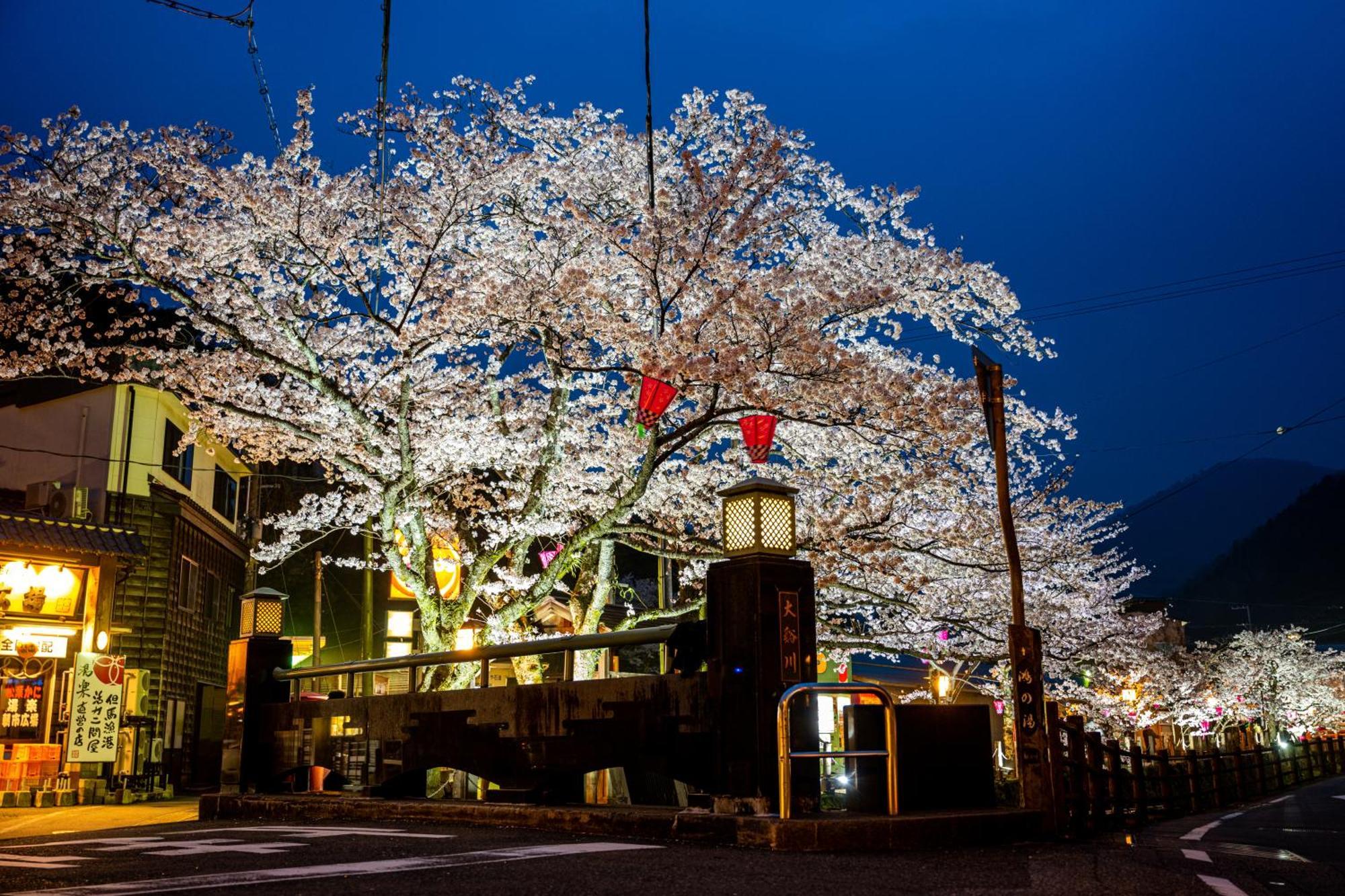Hotel Mikuniya Toyooka  Exterior foto